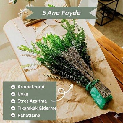 Taze Okaliptüs Duş Seti